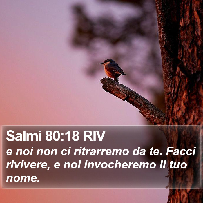 Salmi 80:18 RIV Bible Study