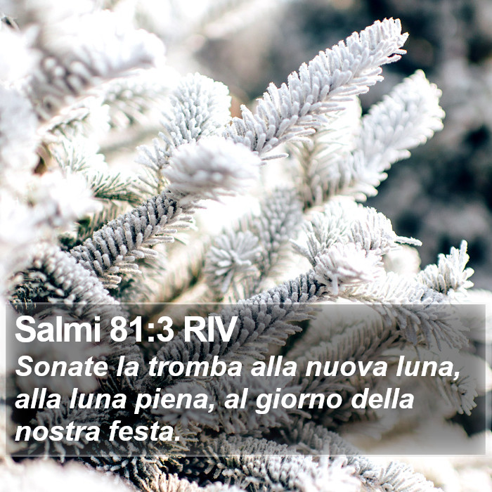 Salmi 81:3 RIV Bible Study