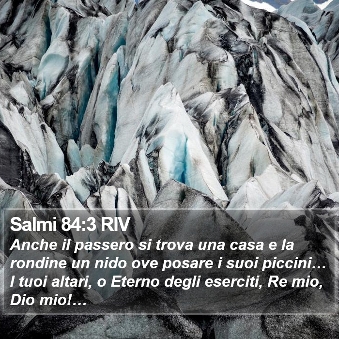 Salmi 84:3 RIV Bible Study