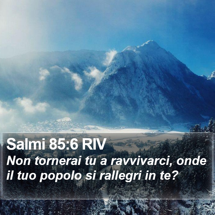 Salmi 85:6 RIV Bible Study