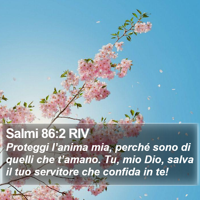 Salmi 86:2 RIV Bible Study
