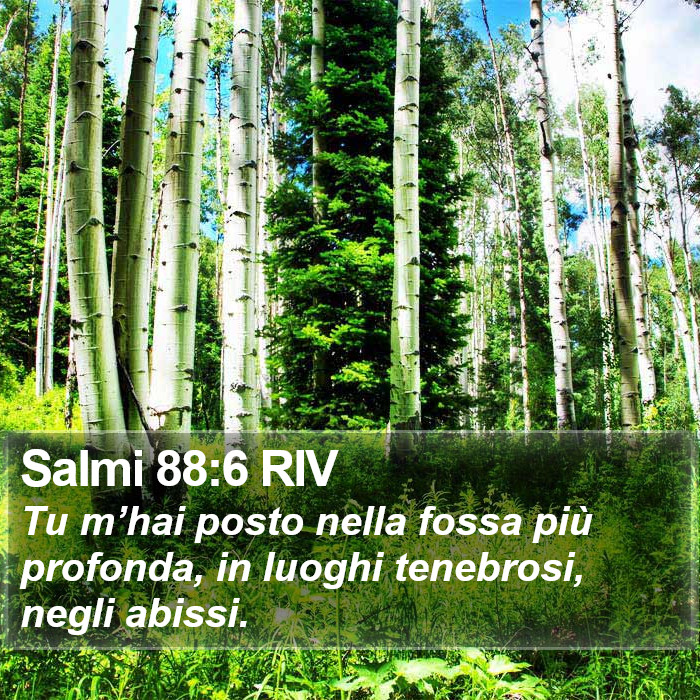 Salmi 88:6 RIV Bible Study