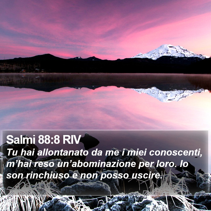 Salmi 88:8 RIV Bible Study