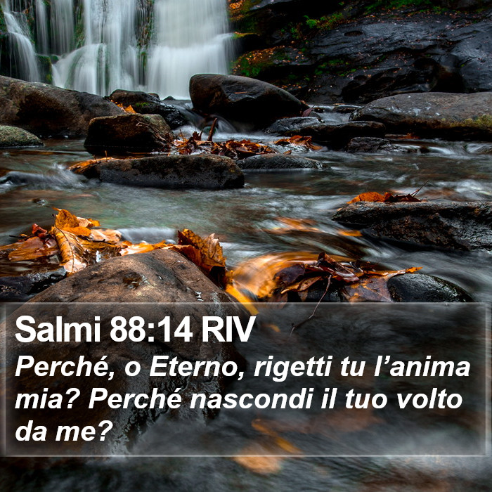 Salmi 88:14 RIV Bible Study