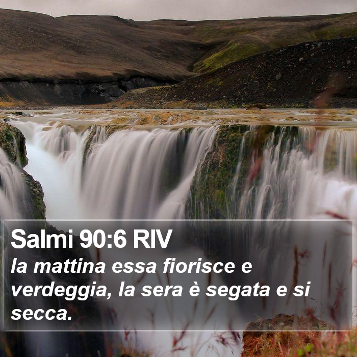 Salmi 90:6 RIV Bible Study