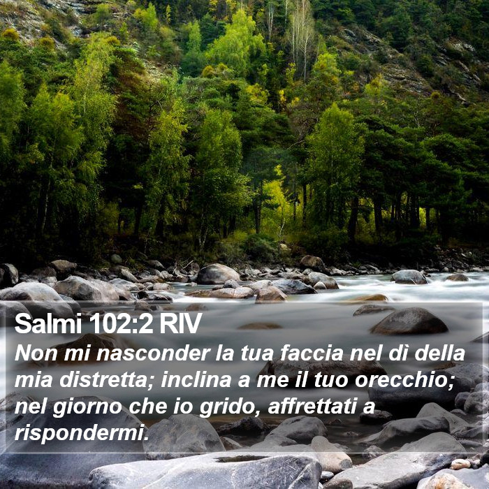 Salmi 102:2 RIV Bible Study