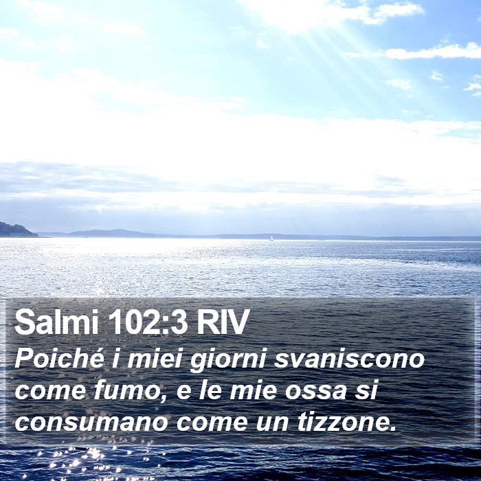Salmi 102:3 RIV Bible Study