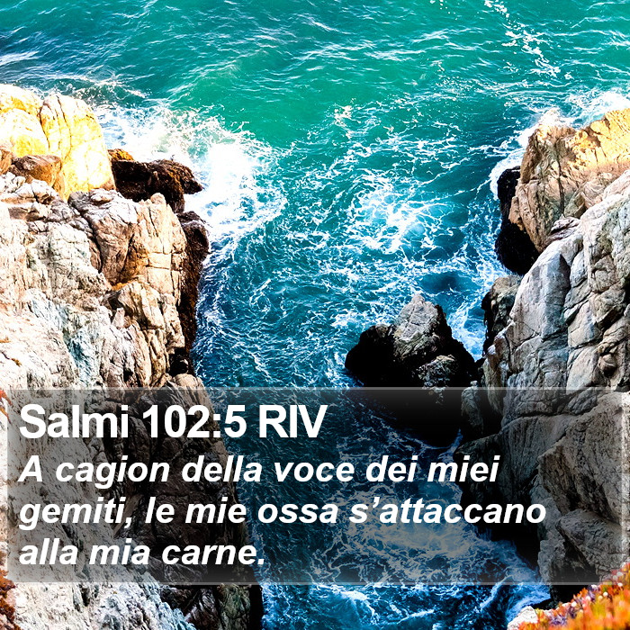 Salmi 102:5 RIV Bible Study