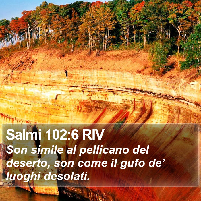 Salmi 102:6 RIV Bible Study