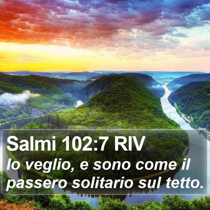 Salmi 102:7 RIV Bible Study