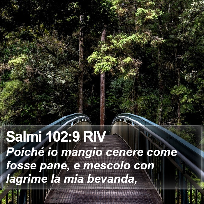 Salmi 102:9 RIV Bible Study