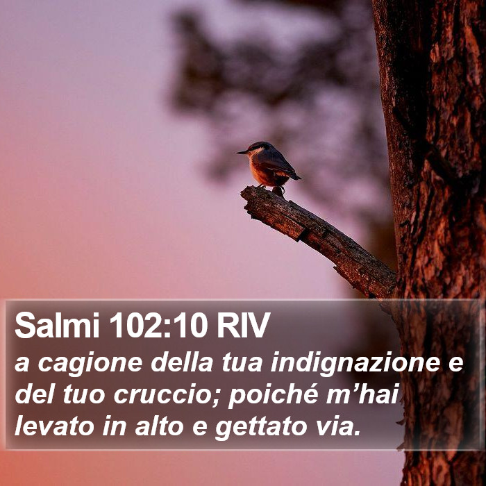 Salmi 102:10 RIV Bible Study