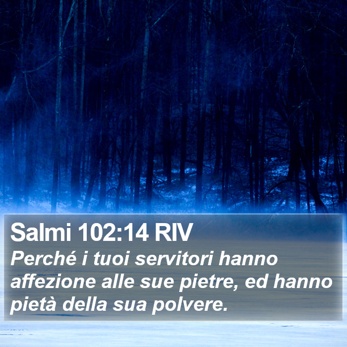 Salmi 102:14 RIV Bible Study