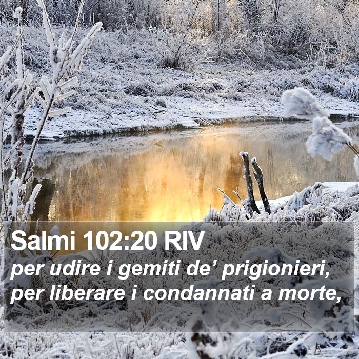 Salmi 102:20 RIV Bible Study