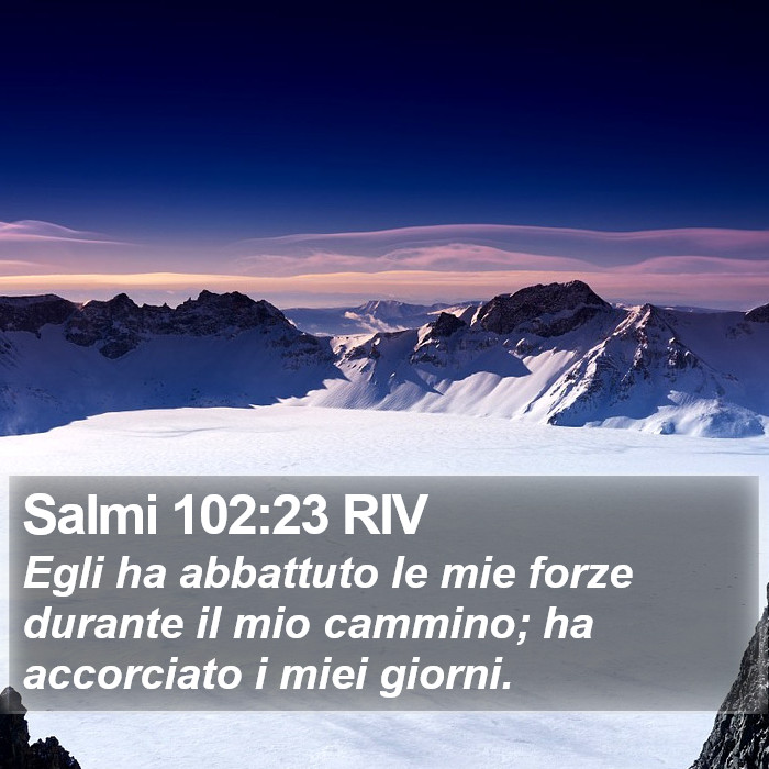 Salmi 102:23 RIV Bible Study