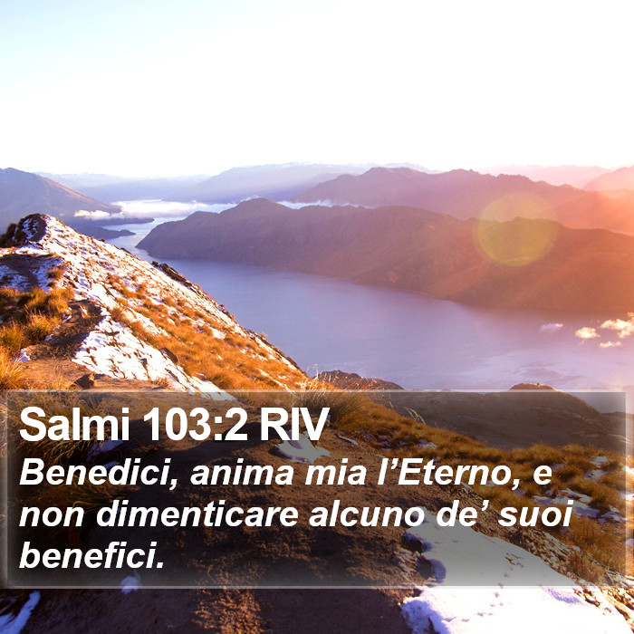 Salmi 103:2 RIV Bible Study