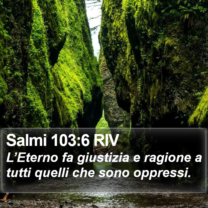 Salmi 103:6 RIV Bible Study