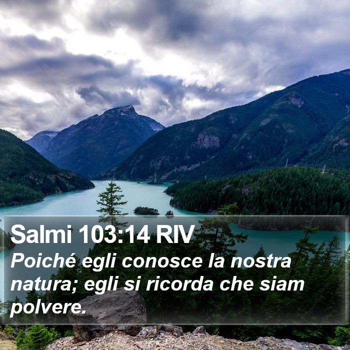Salmi 103:14 RIV Bible Study