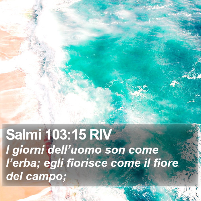 Salmi 103:15 RIV Bible Study