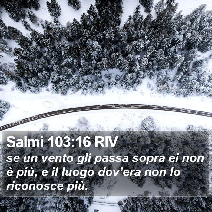 Salmi 103:16 RIV Bible Study