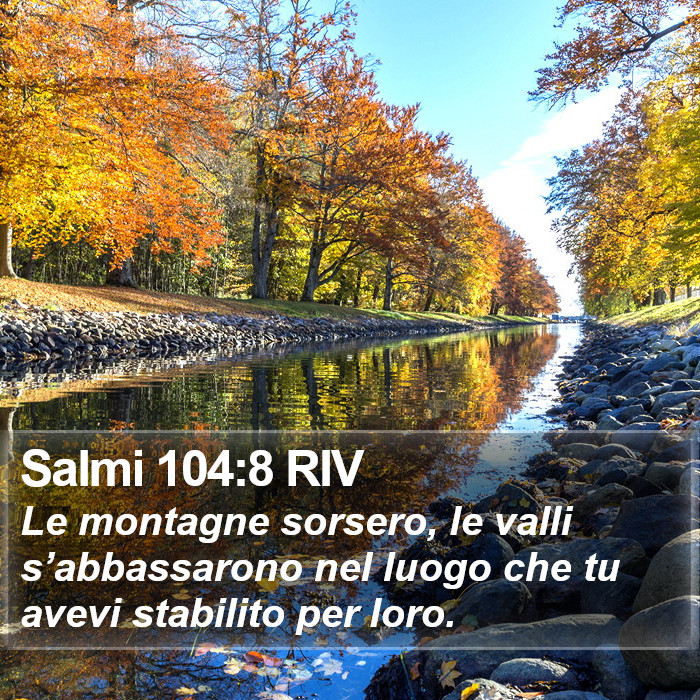 Salmi 104:8 RIV Bible Study