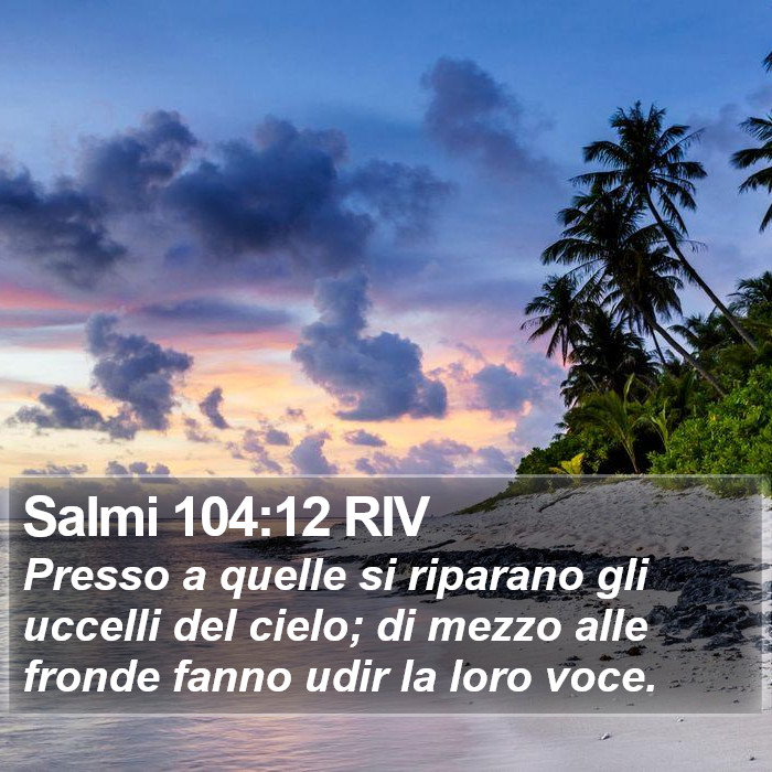 Salmi 104:12 RIV Bible Study