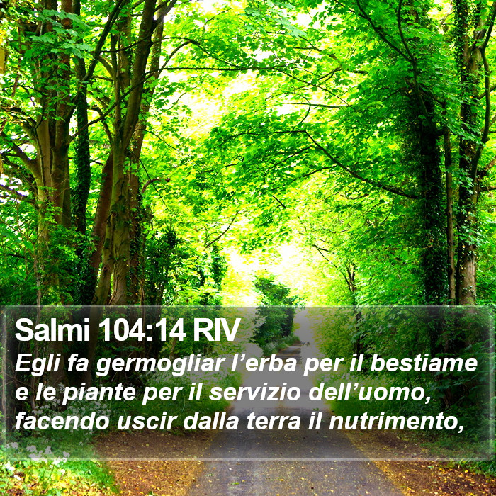 Salmi 104:14 RIV Bible Study
