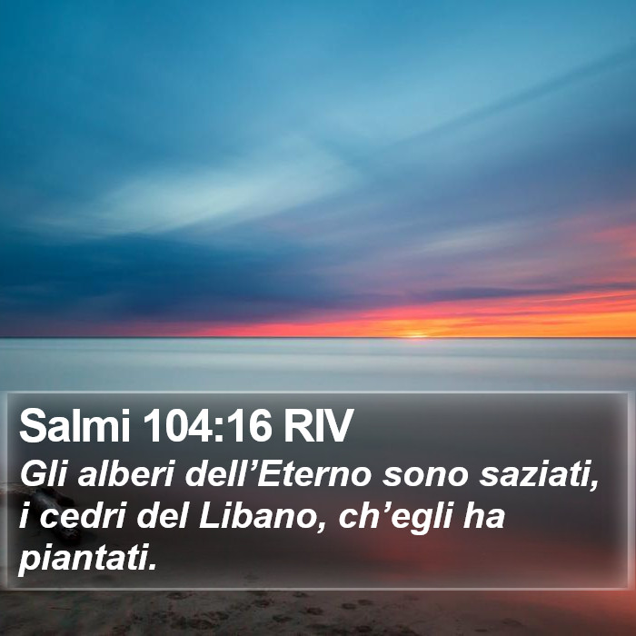 Salmi 104:16 RIV Bible Study