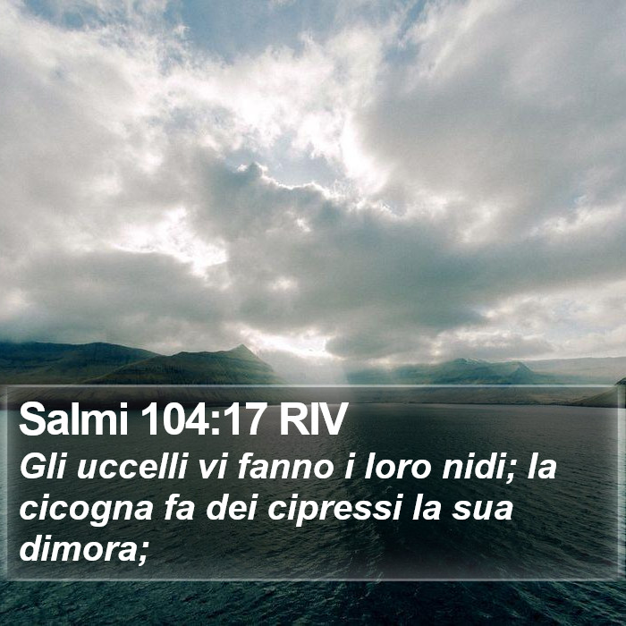 Salmi 104:17 RIV Bible Study