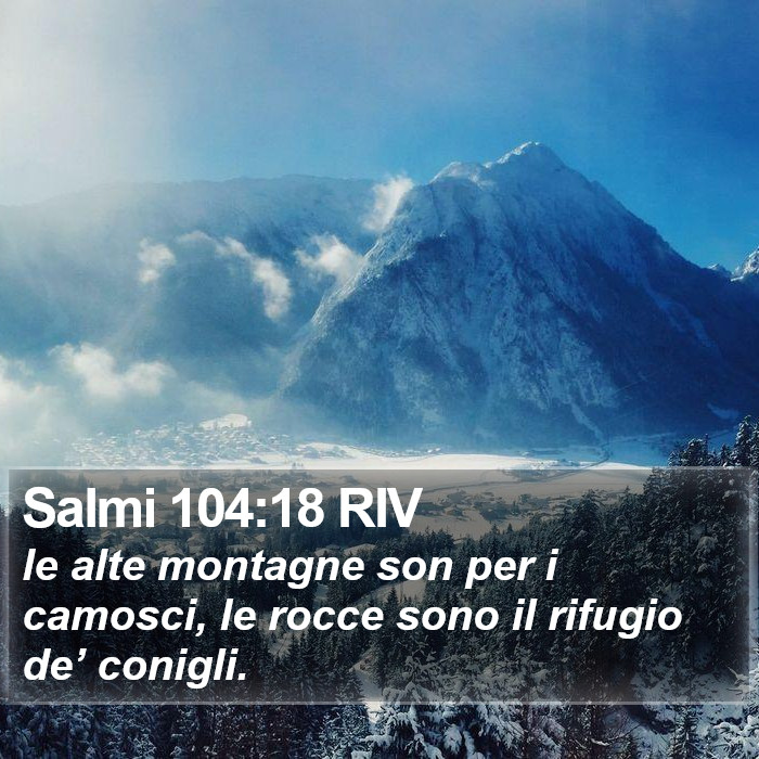 Salmi 104:18 RIV Bible Study