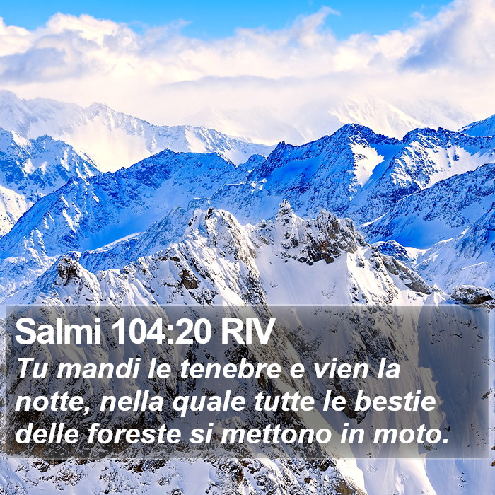Salmi 104:20 RIV Bible Study