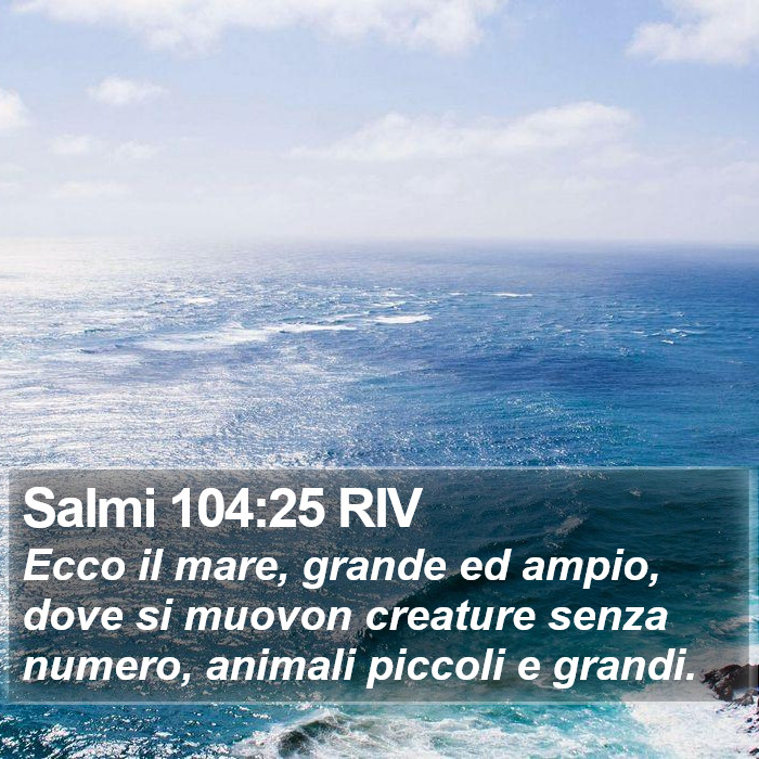 Salmi 104:25 RIV Bible Study