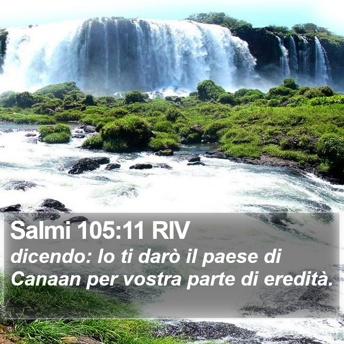 Salmi 105:11 RIV Bible Study