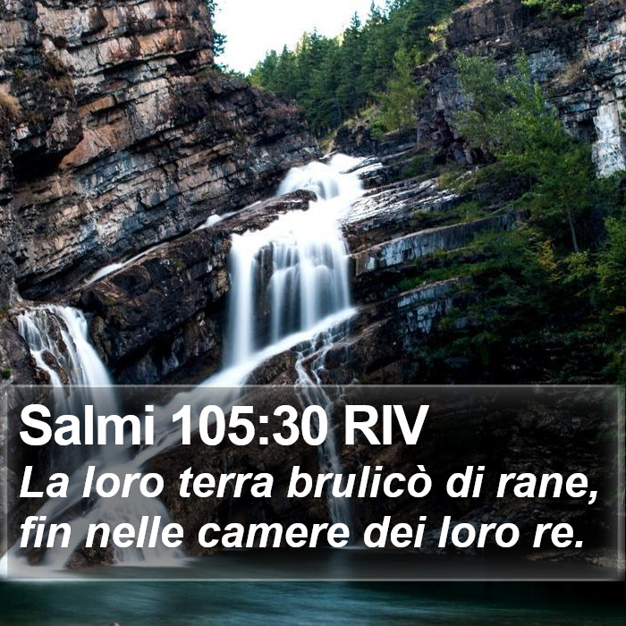 Salmi 105:30 RIV Bible Study