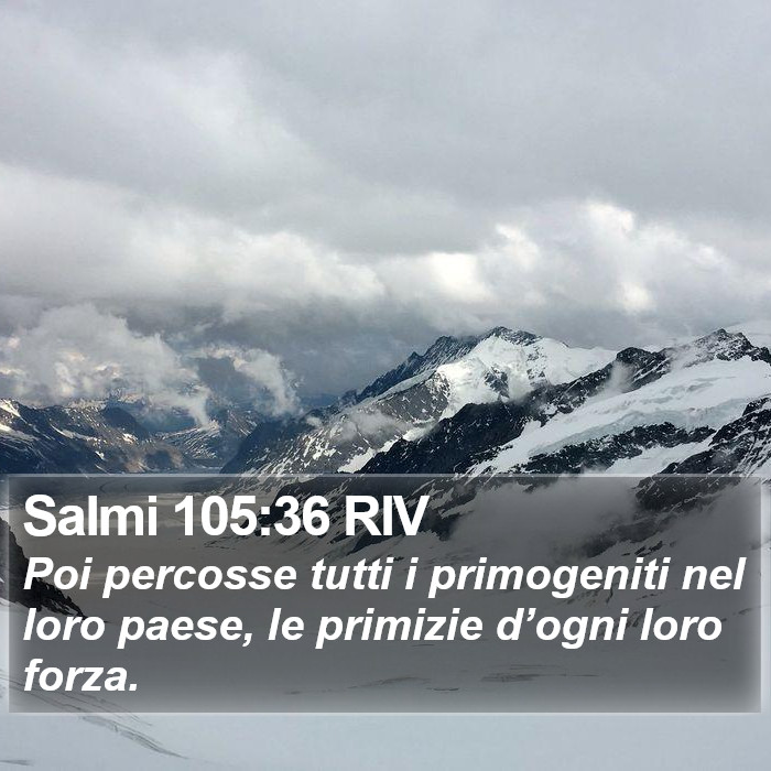 Salmi 105:36 RIV Bible Study