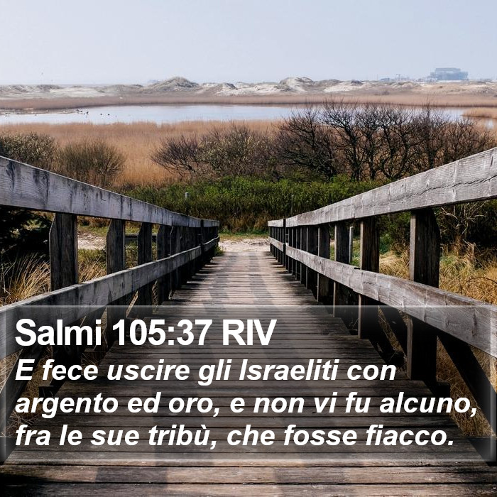 Salmi 105:37 RIV Bible Study