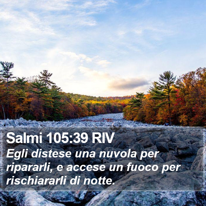 Salmi 105:39 RIV Bible Study