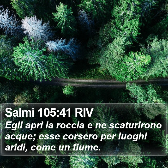 Salmi 105:41 RIV Bible Study