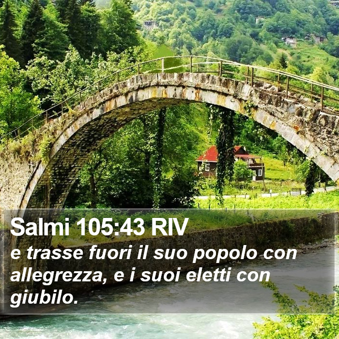 Salmi 105:43 RIV Bible Study