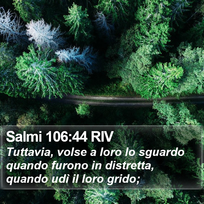 Salmi 106:44 RIV Bible Study