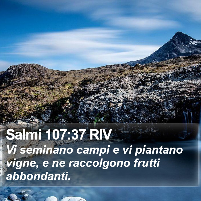 Salmi 107:37 RIV Bible Study