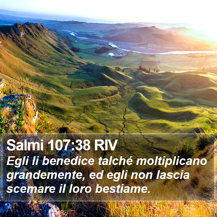 Salmi 107:38 RIV Bible Study