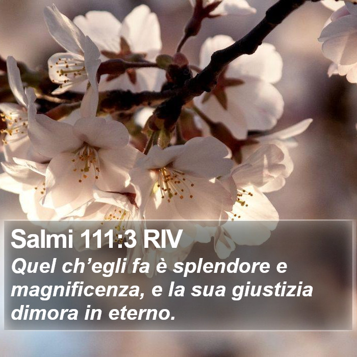 Salmi 111:3 RIV Bible Study