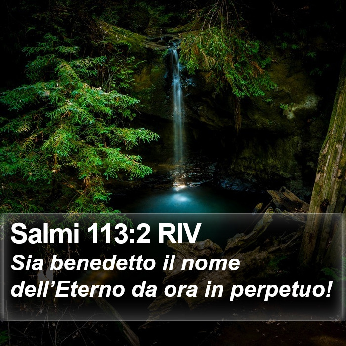 Salmi 113:2 RIV Bible Study