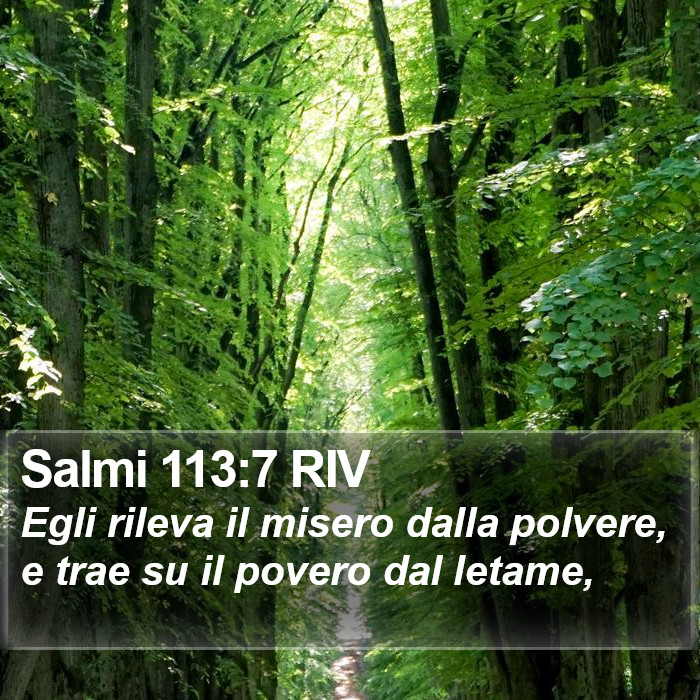 Salmi 113:7 RIV Bible Study