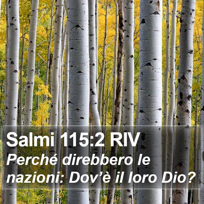 Salmi 115:2 RIV Bible Study