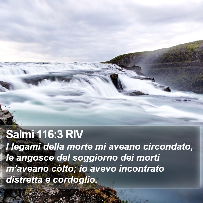 Salmi 116:3 RIV Bible Study