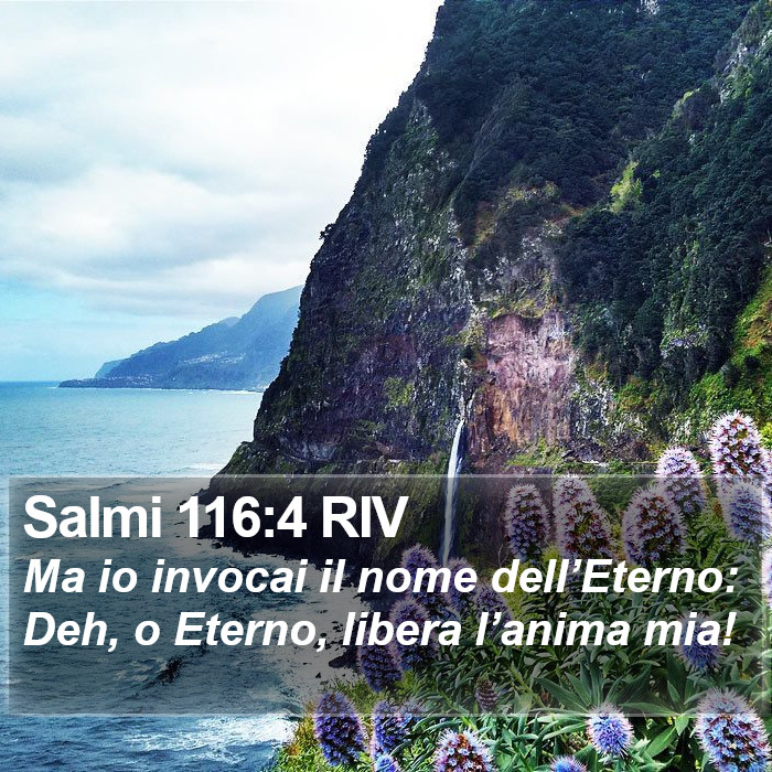 Salmi 116:4 RIV Bible Study