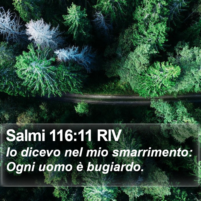 Salmi 116:11 RIV Bible Study