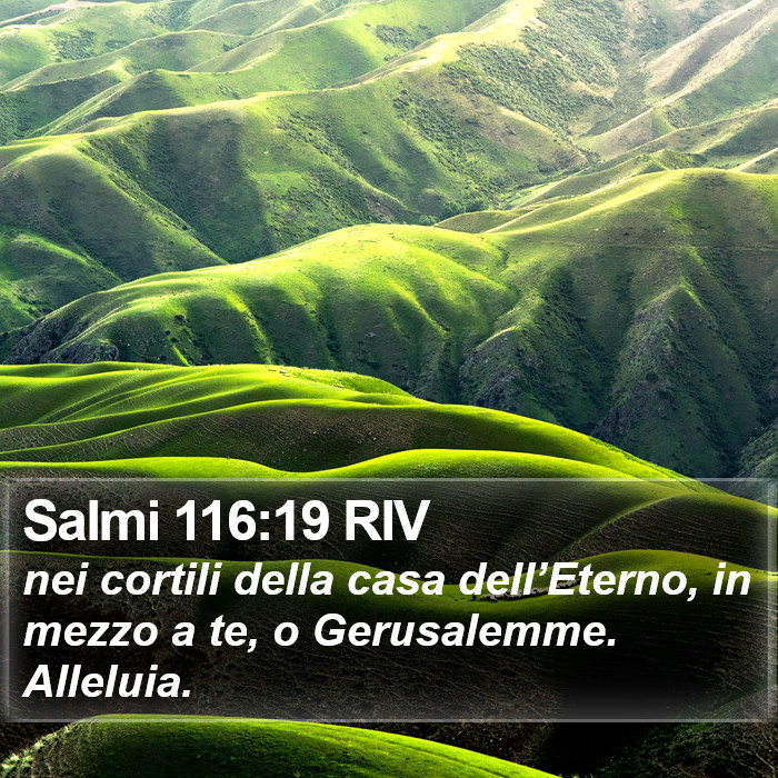 Salmi 116:19 RIV Bible Study